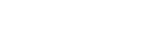 Flush Factor Plus Logo
