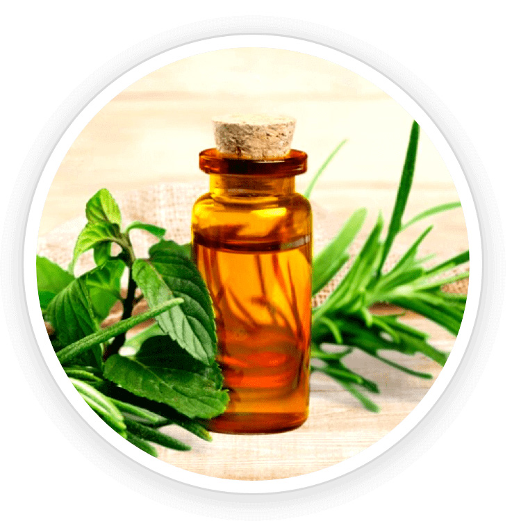 Tea Tree Oil